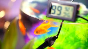 Mini Digital LCD Thermometer Hygrometer Sensor Temperature Controller for Incubator Accessories