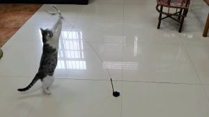 Cat Teaser with Suction Pad Cat Stick with Simulated Bird Floor Fixed Cat Toy Self Play Wand Chaser
