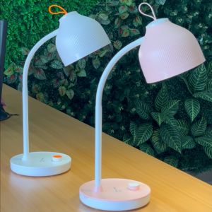 Đèn Bàn LED Điện Quang ĐQ LDL16B 3 (3W Dimmer Ánh Sáng Trắng Vừa có thể sạc vừa cắm điện trực tiếp)