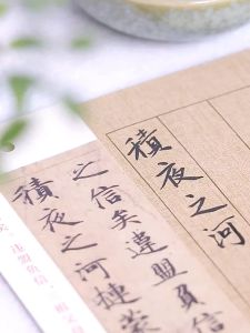 Black Ink. 北太、云中燕 书法练习墨汁 学生 成人专用