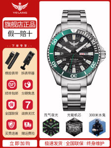 Wild Wolf Solar Powered Sports Watch Mens Diving Wristwatch Luminous Waterproof Stainless Steel Band Quartz Movement V1217