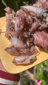 หมึกกะตอยต้ม - เนื้อหวานอร่อย - สดใหม่ - ส่งตรงจากทะเลปากน้ำปราณ