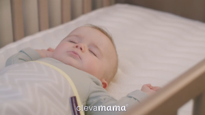 Clevamama Clevafoam Junior Pillow (SG Ready stock)