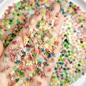 ชาร์มตกแต่งเล็บเรซิ่นรูปใบไม้สีสันสดใส 30 ชิ้น แบบกลีบดอกไม้สองชั้น ประกายวิบวับ 3 มิติ สำหรับตกแต่งเล็บ DIY