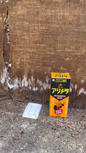 ARIMETZ The best ant killer pest control in Japan 液体蚂蚁诱饵 | 横滨植木