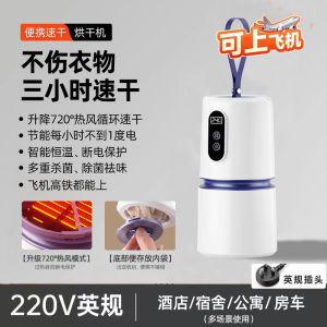 Portable Mini Dryer Compact Foldable Travel 220V110V Universal Voltage Dryer for Underwear Dormitory Use with Timer And Protection