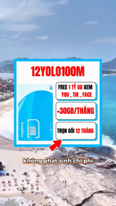 Sim 5G Vinaphone 12YOLO100M Chuyên Lắp Cho Ô Tô - 1GB/Ngày (30GB/Tháng) + Miễn Phí You Tik Face- Trọn Gói 12 Tháng - FREESHIP - CHƯA KÍCH HOẠT