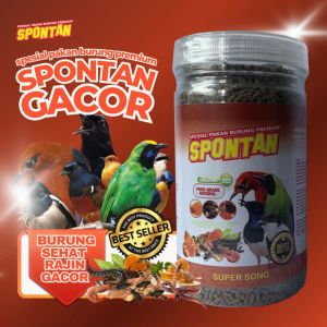 SUPER SONG PAKAN SPESIAL BURUNG MURAI ANIS MERAH CENDET KACER COCAK SPONTAN GACOR