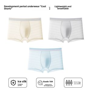 MiiOW | Ice Silk Teenage Underwear Boys Boxer Shorts Development Period Childrens New Style Flat Angle Pants Breathable Moisture Wicking