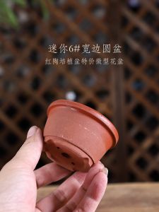 Mini 6 Red Pottery Flower Pot: A Comprehensive Guide