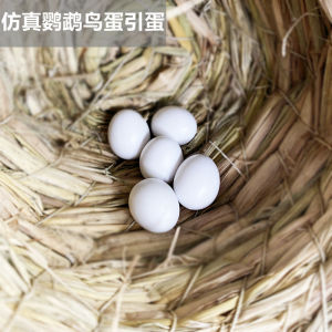 Parrot Fake Egg Bird Parrot Artificial Solid Egg Finch Leather Peony Xuanfeng Bird Eggs Egg Bird Supplies Jade Bird Eggs