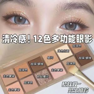 NoVo Twelve Color Eyeshadow Palette Matte Earth Tone Grey Pink Pearl Shiny Orange Brown Highlighting High Color Newbie