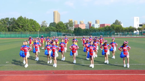 ปอมปอมพู่เชียร์ลีดเดอร์พร้อมด้ามจับอุปกรณ์การแสดงกีฬาสี