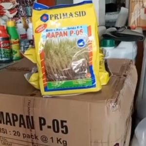benih padi hibrida f1 mapan p-05 1kg bibit padi by primasid barang READY! exp 2027