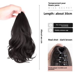ZUOOU | Volume-Boosting Hair Bun Extension Clip