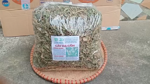 100g cây dạ cẩm sấy khô hữu cơ