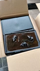 ถาดกาวดักหนู (ยกลัง 40 แผ่น) ขนาด 27x16 cm. สี่เหลี่ยมผืนผ้า ถาดกาวดักหนู กาวดักหนู ถาดกาวสำเร็จรูป ถาดกาว ใช้ง่าย