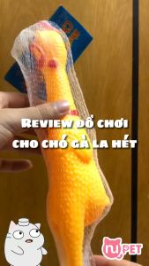 Đồ chơi cho chó GÀ LA HÉT tại Nupet | Đồ chơi cho thú cưng con gà phát ra tiếng kêu