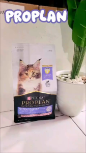 Proplan 1.5 Kg Kitten Starter makanan kucing