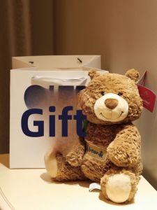 Teddy Bear Plush Toy Gift for Girlfriend Womens Day
