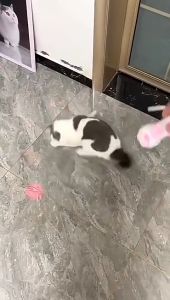 Cat Chasing Laser Toy Laser Pointer Pen LED Light 5 Pattern + Red Dot (Requires battery)