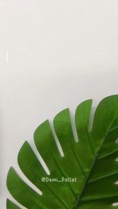 Pelet PREMIUM YELLOW kemasan botol isi 60 Gram