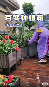 Roof Garden Container & Balcony Vegetable Planting Box: A Comprehensive Guide