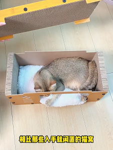 Teekland Cat Scratcher House Cat Scratch Box Hideaway Furniture Protection Cozy Lounge Bed Kitten Toy for Small Medium Large Cats Playing