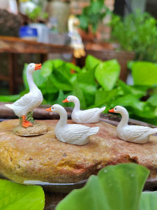 Mini White Duck Animal Decoration Garden Courtyard Rockery Pondlet Balcony Bonsai Pot Landscaping Decorations