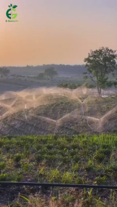 Cuộn 100m Ống phun mưa 27/32mm - Ống tưới phun mưa - Dây tưới phun mưaỐng tưới câyỐng mềm tưới cây