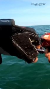 TEAM SEAHAWK WARHEAD SW BAITCASTING(BC) FISHING REEL