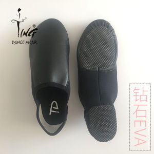 Chen Ting Dance Teachers Shoes Low Heel Jazz Shoes Female Elastic Mesh Surface Soft Bottom Practice Shoes Black Dancing Shoes Adult