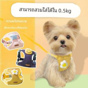 Jiaxun | Dây Dắt Ngực Ngoài Trời Cho Yorkshire Terrier