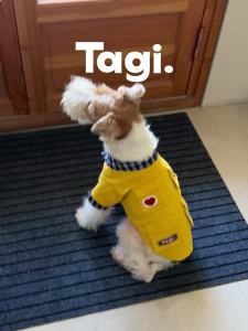 Tagi. Mushroom Haha Pet Workwear Jacket