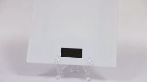 DIGITAL WEIGHT SCALE TIMBANGAN BADAN SC-12 INDIKATOR LCD ORI DEVICE