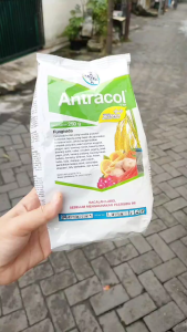 Fungisida ANTRACOL 70WP + ZINC isi 250 gram - Fungisida Anti Jamur Antracol 70 WP
