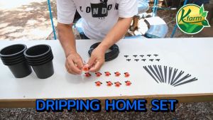 ชู่หัวน้ำหยด พร้อมกระถาง 5 นิ้ว 10 ชุด อุปกรณ์ครบเซท ติดตั้งง่าย สำหรับเพาะต้นกล้าในบ้าน ระบบน้ำ รดน้ำต้นไม้ K FARM