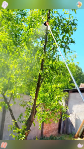 3.6M Retractable Spraying Rod Stainless Steel Hand Pressure Sprayer Spraying Rod Garden Sprayer