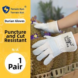 Terrain Kun | Anti-Thorn Anti-Puncture Durian Glove