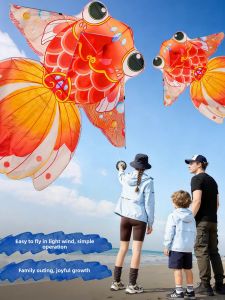 SPACECYCLE | Easy to Fly Adult and Children Suitable Kite Large