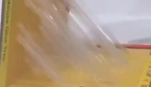 กาวดักหนู แน่นๆ ซื้อ1แถม10 กาวดักหนู ปลอดสารพิษและปลอดภัย กาวดักหนูุ เหนียวหนึบพิเศษ ติดทน กาวดักหนู ถาด กาวนำเข้าจากเยอรมัน กระดาษหนาขึ้นใหญ่ขึ้นเก็บได้นาน