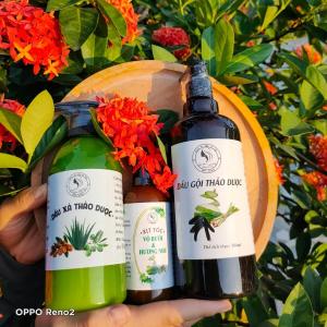 Dầu gội thảo dược Dầu gội thiên nhiên Dầu gội thảo mộc cô đặc chai lớn 500ml