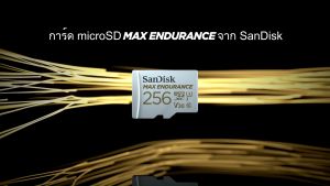Sandisk Max Endurance microSDXC 128GB 60000 hours (SDSQQVR-128G-GN6IA) (เมมการ์ด เมมกล้อง)