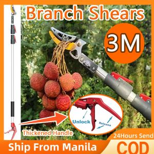 High Branch Pruning Shears: A Comprehensive Guide