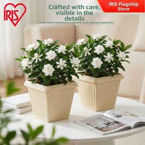 IRIS | Thickened Balcony Planting Box Square Relief Resin