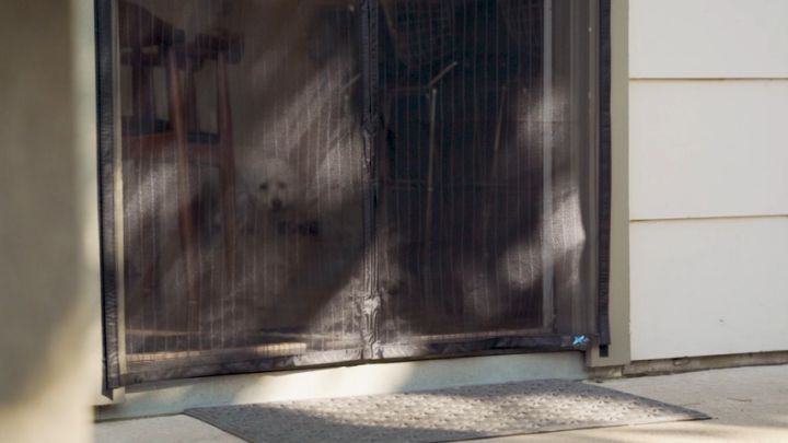 The Original Magnetic Screen Door Easy Install Self-Closing Pet