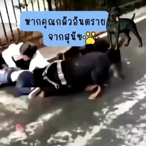 อัลตราซาวนด์ 1 วิหยุดเห่า เครื่องไล่สุนัข นำเข้าจากเยอรมัน ของแท้ 100% เครื่องไล่หมา คลื่นเสียงคู่พลังพิเศษสองหัว ที่ไล่หมา ใช้ได้ทั้งแมวหมา ไล่สุนัข dog repellent ultrasonic