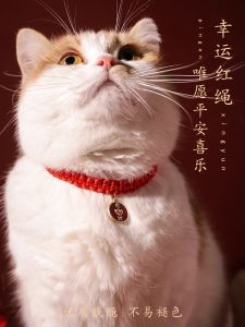 Pet Cat Necklace Dog Collar Small Dog Safety Charm Cat Bell Pendant Pet Accessories Cat Circle Necklace Dog Leash Cat Collar