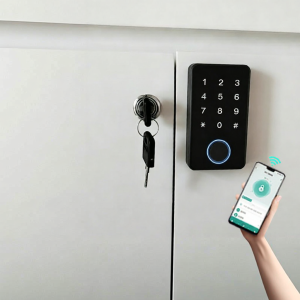 FALEISTON | Fingerprint & Password Security Lock for Office Cabinets Shoe Cabinets and Home Storage