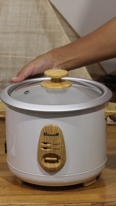 Dowell RC-50G 5 Cups Rice Cooker Small